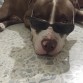¿Ésto es en serio? Se que tengo onda y poso para mami, pero porque no vamos a dar una vuelta mejor.